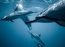 kaiyun sports-华体会体育攻略：玩转优惠，享受极致体育体验